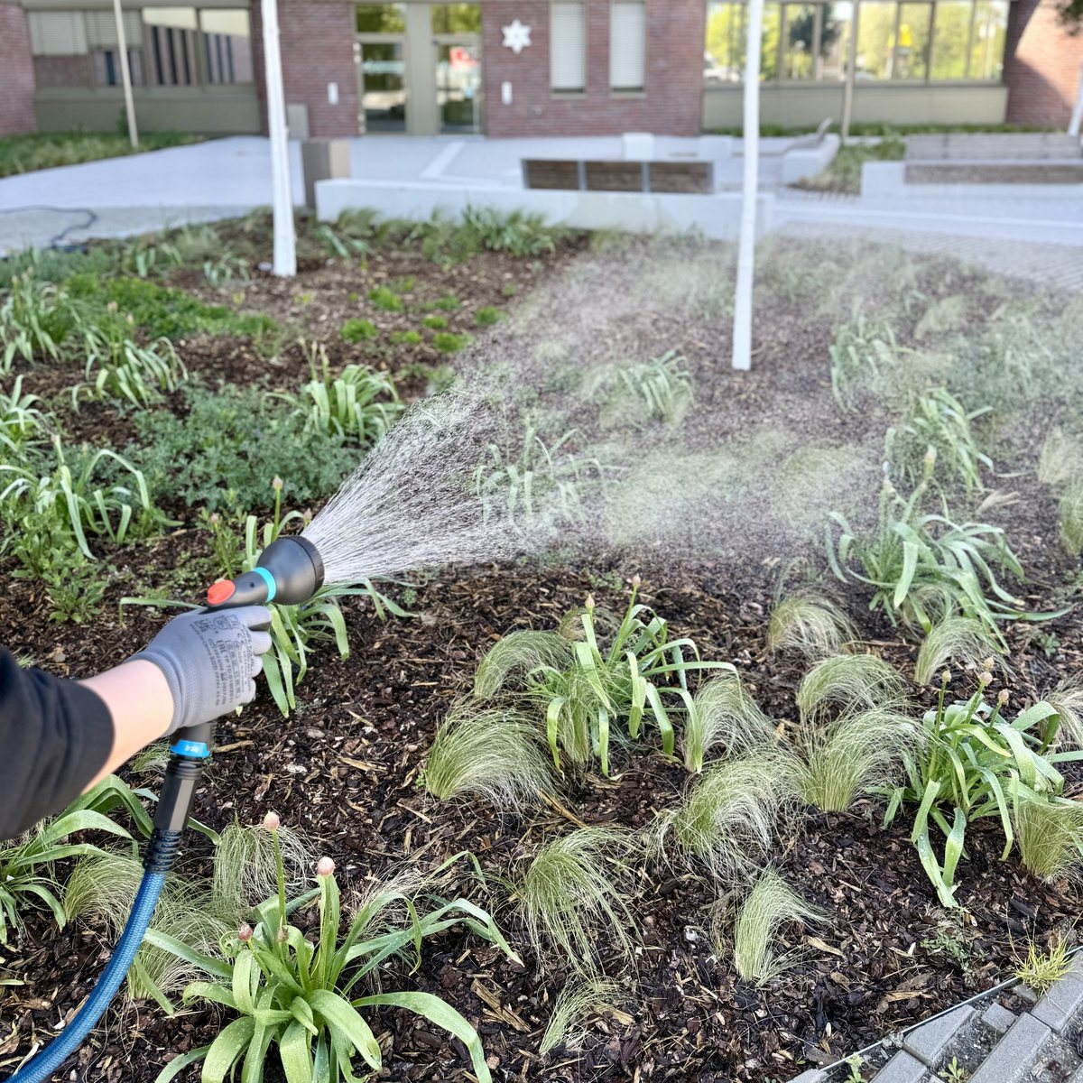 Gartenpflege und Bewässerung einer Grünfläche